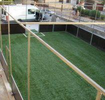 SANY0126-1024x768 SANY0126-1024x768