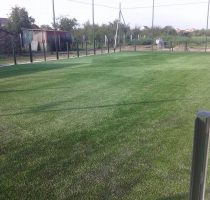 Vladislavci (3) Vladislavci (3)
