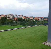 Zagreb dekorativna (1) Zagreb dekorativna (1)
